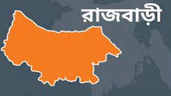 রাজবাড়ী-ঝিনাইদহ জেলার বিরোধ নিরসনে সীমানায় পিলার স্থাপন