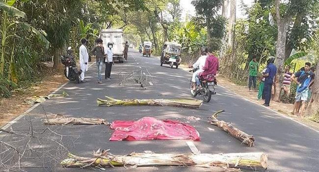 নলছিটিতে ট্রাকচাপায় নারীর মৃত্যু