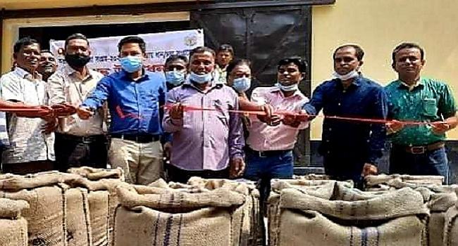 তাহিরপুরে সরকার নির্ধারিত দামে ধান সংগ্রহ শুরু