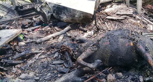 আগুনে পুড়ে গেল মনোয়ারা বেগমের কষ্টের সম্পদ