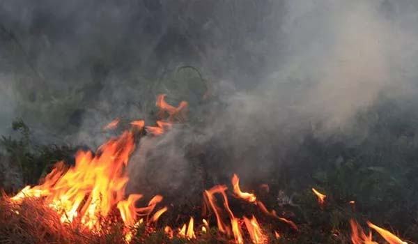 ভারতে মৃত বাবার চিতায় ঝাঁপ দিলেন মেয়ে