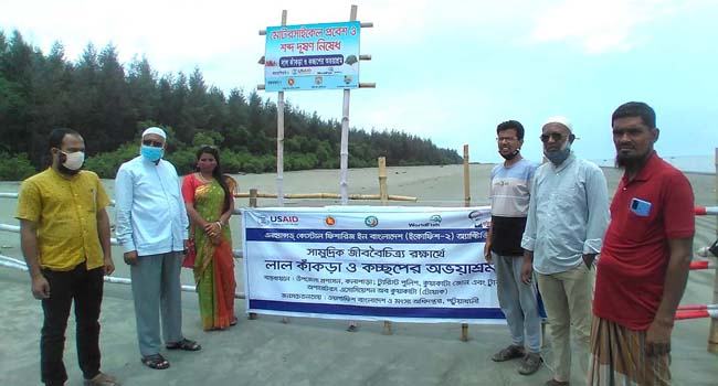 কুয়াকাটা সৈকতে জীববৈচিত্র রক্ষায় লাল কাঁকড়া ও কচ্ছপের অভয়াশ্রম