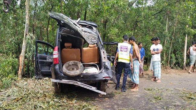 মিরসরাইয়ে মাইক্রো নিয়ন্ত্রণ হারিয়ে গাছের সাথে ধাক্কা, নিহত ২