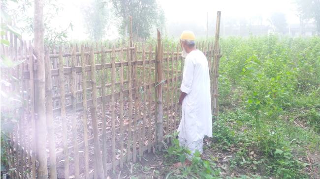 প্রিয়জনের কবর জিয়ারত করে শুরু ঈদ