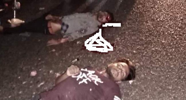 নালিতাবাড়ীতে সড়ক দুর্ঘনায় নিহত ২