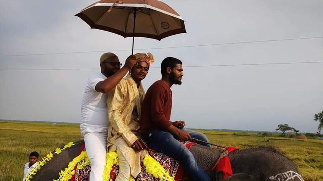 তাড়াশে হাতিতে চড়ে বিয়ে