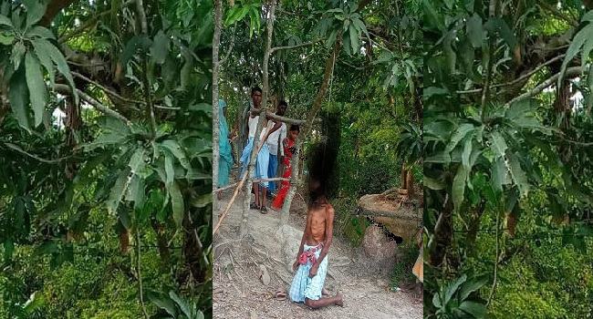 মিরসরাইয়ে বৃদ্ধের ঝুলন্ত লাশ উদ্ধার