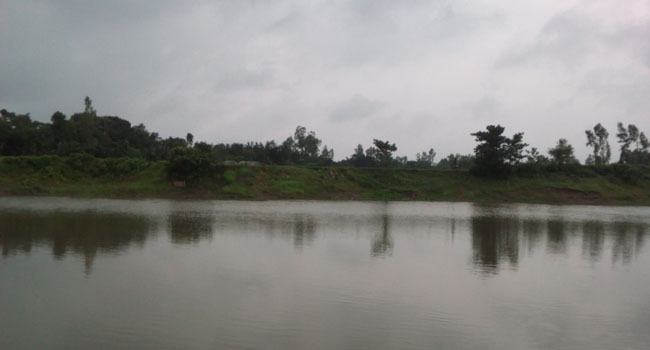 বগুড়ায় নদী থেকে বৃদ্ধার ভাসমান লাশ উদ্ধার
