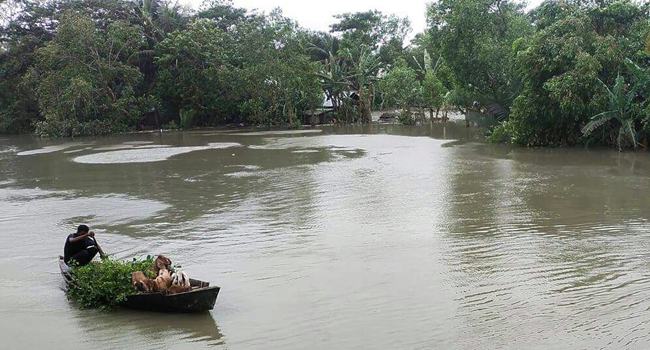 এরকম পানি আগে দেখেনি বরগুনার উপকূলবাসী