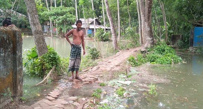 নলছিটিতে ঘূর্ণিঝড় ইয়াসে ব্যাপক ক্ষতি