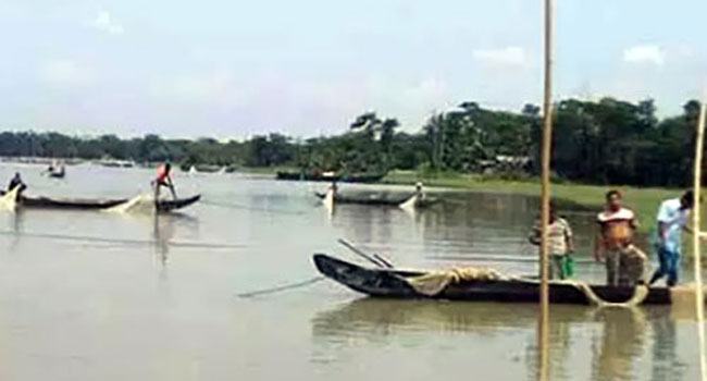 লাগাতার বৃষ্টি না হওয়ায় হালদার মা মাছেরা পর্যাপ্ত ডিম ছাড়েনি, সংগ্রহকারীরা হতাশ