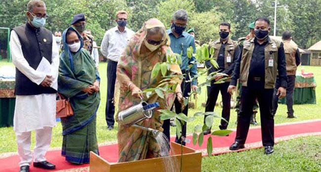 জাতীয় বৃক্ষরোপণ অভিযান উদ্বোধন প্রধানমন্ত্রীর