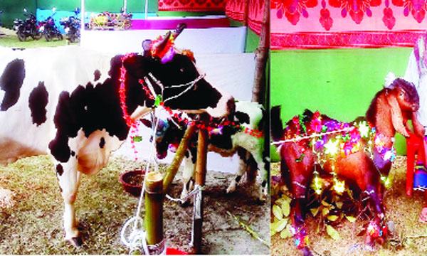 শতবর্ষী ব্যক্তিকে মৃত দেখিয়ে বয়স্কভাতা বন্ধ