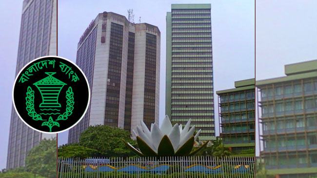 ব্যাংক সক্ষমতায় নির্ভর করবে বাজেট বাস্তবায়ন