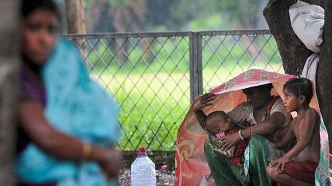 ‘যোগ্য না হয়েও সামাজিক সুরক্ষা কর্মসূচির ভাতা নেন ৪৬ শতাংশ সুবিধাভোগী’