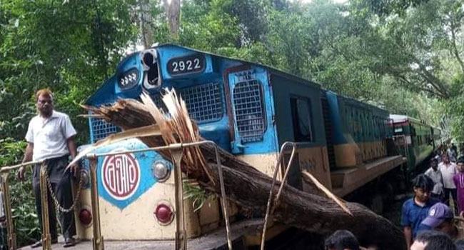 চলন্ত ট্রেনের ওপর গাছ পড়ায় সিলেট-আখাউড়ায় দেড় ঘণ্টা ট্রেন বন্ধ