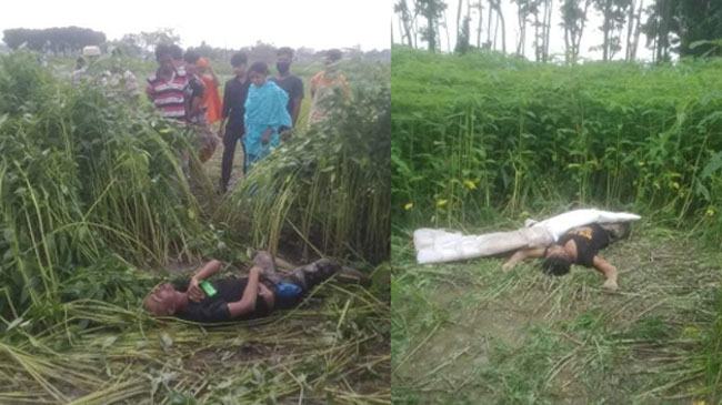 সাভারে পাটক্ষেত থেকে ২ ছাত্রের লাশ উদ্ধার