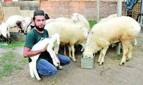দুম্বার খামারে সোহেলের স্বপ্ন