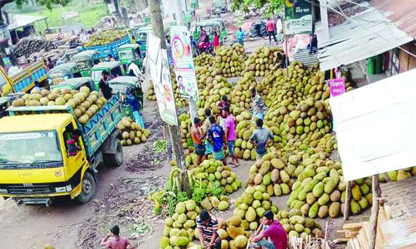 মৌসুমি ফলের বিকিকিনিতে জমজমাট করেরহাট বাজার