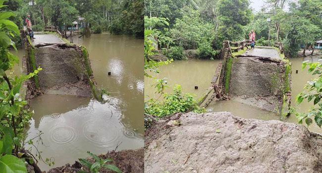 মির্জাগঞ্জে ব্রিজ ভেঙে ৭ গ্রামের যোগাযোগ বিচ্ছিন্ন