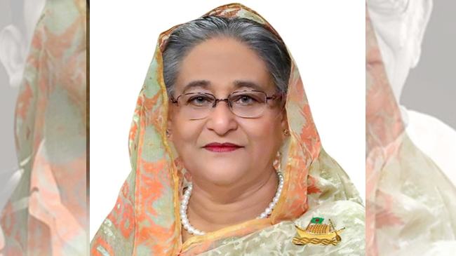 জনগণের জীবন-জীবিকা নিশ্চিতে কাজ করছে সরকার : প্রধানমন্ত্রী