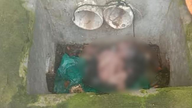 ডাস্টবিনে মিললো নবজাতকের লাশ