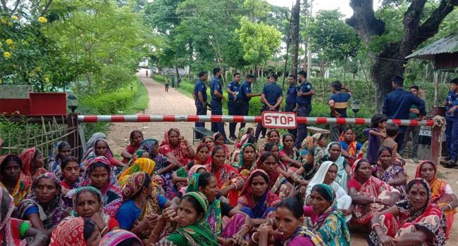 মৌলভীবাজারে অনির্দিষ্টকালের জন্য লুয়াইনি হলিছড়া চা বাগান বন্ধ