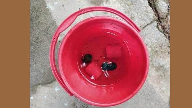 কোম্পানীগঞ্জ উপজেলা ছাত্রলীগ নেতার বাড়িতে ককটেল হামলা