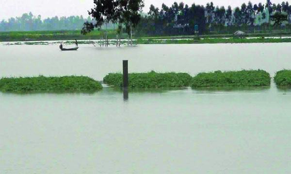 কুড়িগ্রামে নদীর পানি বৃদ্ধি অব্যাহত বন্যার আশঙ্কা