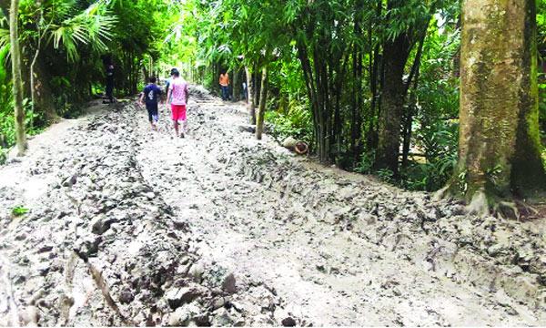 বরিশালে জনপ্রতিনিধির উদাসীনতায় স্বেচ্ছাশ্রমে রাস্তা সংস্কারে নেমেছেন গ্রামবাসী