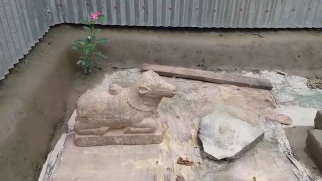 নাগেশ্বরীতে হাজার বছরের প্রাচীন গো-মূর্তি উদ্ধার