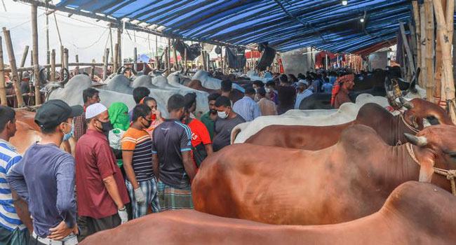কোরবানির হাট : ৪৬ শর্তের কতটুকু মানা হচ্ছে