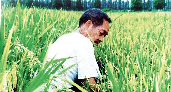 জনসংখ্যা বৃদ্ধি, খাদ্য সরবরাহ এবং ড. ইউয়ান লঙপিং