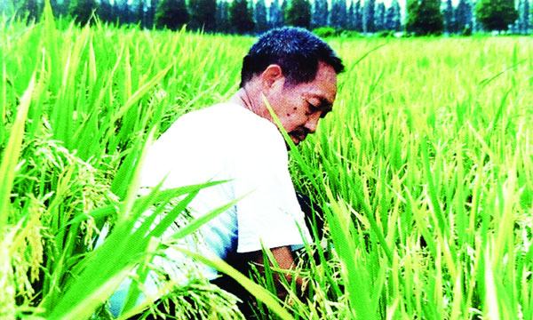 জনসংখ্যা বৃদ্ধি, খাদ্য সরবরাহ  এবং ড. ইউয়ান লঙপিং