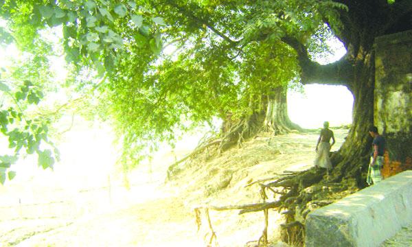 ঠাকুরগাঁওয়ে মুজিববর্ষের ঘর তৈরি ও বরাদ্দে অনিয়ম