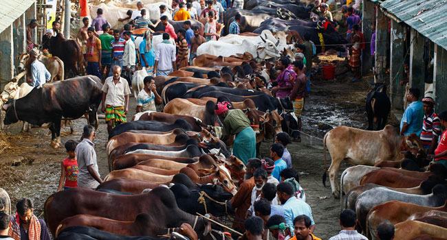 রাজধানীর পশুর হাটে বেচাকেনা শুরু