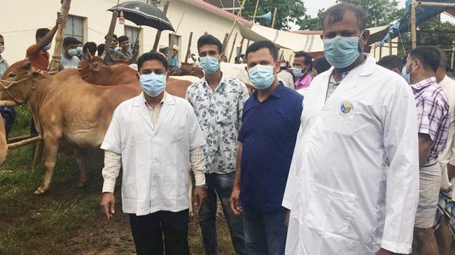 মিরসরাইয়ে জমে উঠছে কোরবানি পশুর হাট
