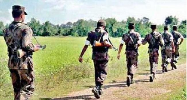 ভারতে চামড়া পাচাররোধে সীমান্তে সতর্ক বিজিবি