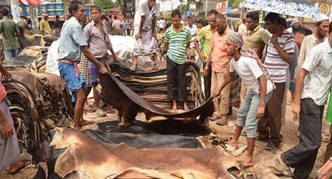 ভারতে চামড়া পাচার রোধে যশোর সীমান্তে সর্বোচ্চ সতর্কতা