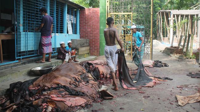 দোহারে নেই পশুর চামড়ার ক্রেতা