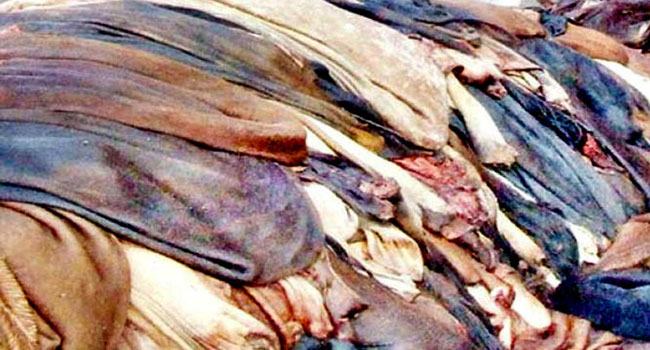 বালিয়াকান্দিতে চামড়ার দামে অরাজকতা, গরুর ২০০ আর ছাগলের ৫০