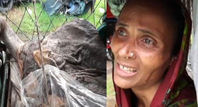রাতের আঁধারে গরুর পা ও মাথা কর্তন