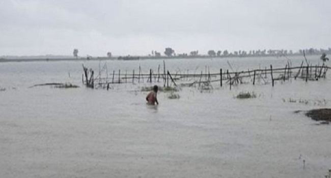 বরগুনায় ৭৩৪ পুকুর ও মাছের ঘের তলিয়ে ৪ কোটি টাকার ক্ষতি