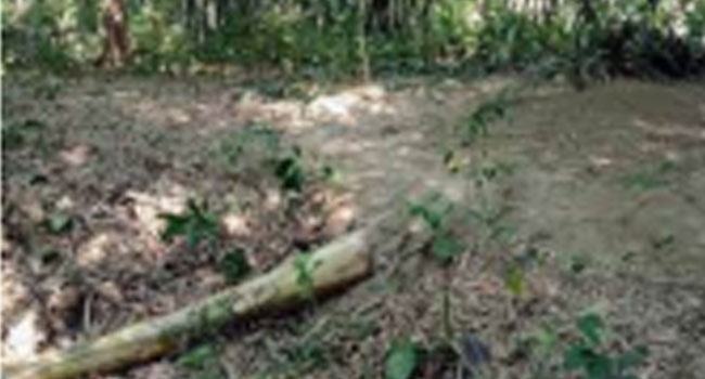 কবর খননের পর জানা গেল রিপন বেঁচে আছেন