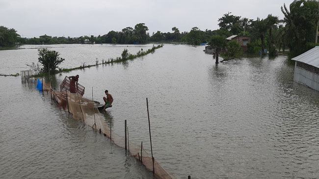টানা বৃষ্টিতে পানির নিচে পাইকগাছার বিস্তীর্ণ এলাকা