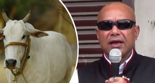 মুরগি-পাঁঠার বদলে বেশি করে গরুর গোশত খেতে বললেন বিজেপি মন্ত্রী!