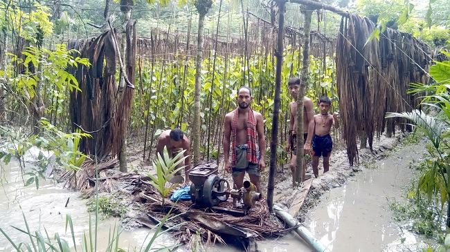 মঠবাড়িয়ায় ভারী বর্ষণে পানের বরজ-মাছের ঘের ও ফসলের ব্যাপক ক্ষতি