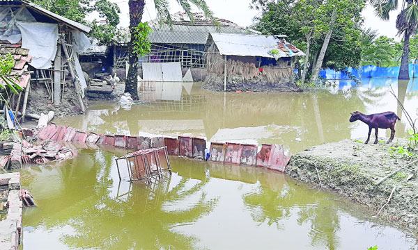 কালিগঞ্জে সরকারি খাল দখলের মহোৎসব