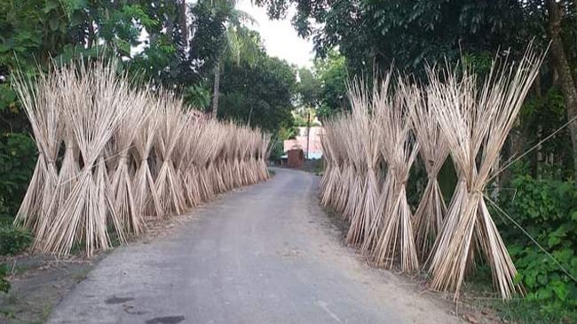 সোনালি আঁশের রুপালি কাঠি আশার আলো