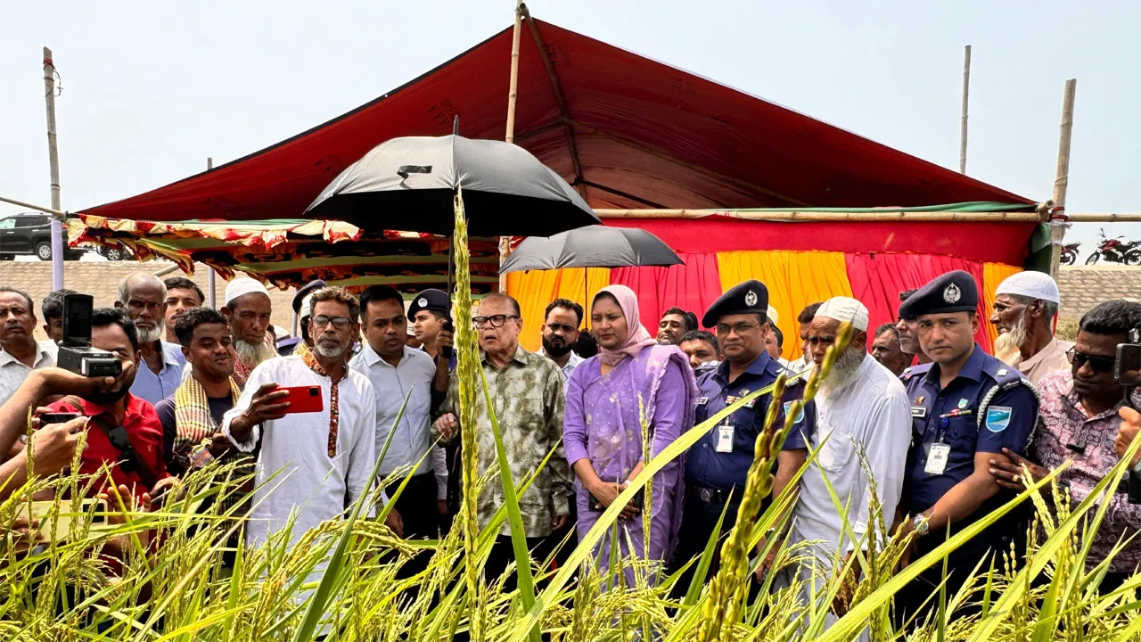 দেশে খাদ্য নিরাপত্তা নিয়ে কোনো শঙ্কা নেই : খাদ্য উপদেষ্টা